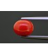 8.44 cts Natural Coral - Moonga (SKU:90149634)