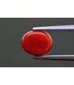 14.21 cts Natural Coral (Moonga)