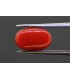 3.85 cts Natural Coral - Moonga (SKU:90150722)