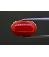8.78 cts Natural Coral (Moonga)