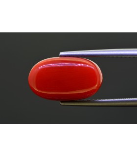 8.78 cts Natural Coral - Moonga (SKU:90156243)