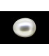 2.3 cts Cultured Pearl (Moti)