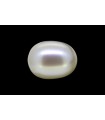 3.03 cts Cultured Pearl (Moti)