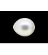 2.75 cts Cultured Pearl (Moti)