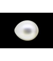 2.75 cts Cultured Pearl (Moti)