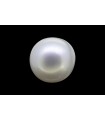 7.72 cts Cultured Pearl (Moti)