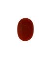 3.46 cts Natural Coral (Moonga)