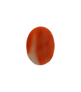 3.71 cts Natural Coral - Moonga (SKU:90053887)