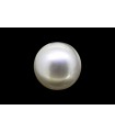 3.43 cts Natural Pearl (Moti)