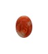 3.64 cts Natural Coral (Moonga)