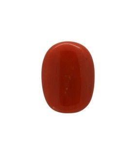 8.09 cts Natural Coral (Moonga)