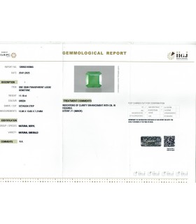 11.18 cts Natural Emerald - Panna (SKU:90152290)