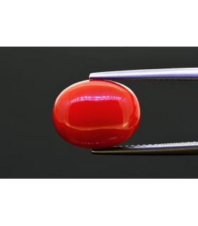 7.23 cts Natural Coral (Moonga)