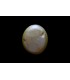 2.84 cts Natural Cats Eye - Lehsunia (SKU:90152450)