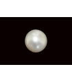 5.49 cts Natural Pearl (Moti)