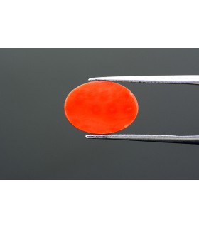 6.23 cts Natural Coral - Moonga (SKU:90054983)