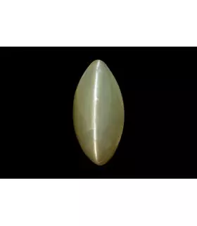 3.61 cts Natural Cats Eye (Lehsunia)