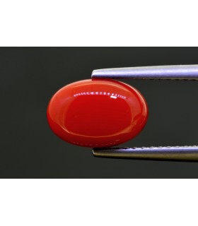 2.97 cts Natural Coral (Moonga)