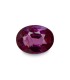 2.02 cts Unheated Natural Ruby - Mozambique (Manak)