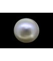 8.31 cts Cultured Pearl (Moti)