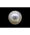 3.48 cts Cultured Pearl (Moti)