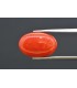 6.15 cts Natural Coral (Moonga)