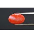 6.15 cts Natural Coral - Moonga (SKU:90160288)