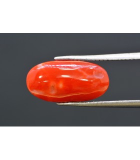 7.08 cts Natural Coral - Moonga (SKU:90160295)