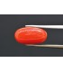 5.59 cts Natural Coral (Moonga)