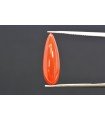 3.57 cts Natural Coral (Moonga)