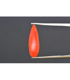 3.57 cts Natural Coral - Moonga (SKU:90160318)
