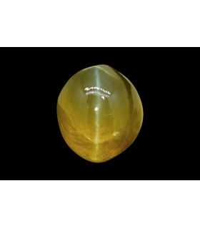 3.2 cts Natural Cats Eye (Lehsunia)