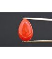 5.46 cts Natural Coral (Moonga)