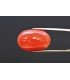 16.74 cts Natural Coral - Moonga (SKU:90160349)