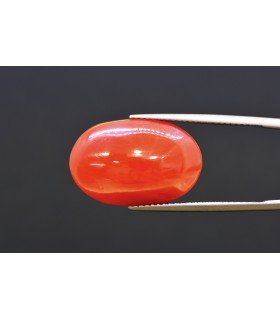 16.74 cts Natural Coral - Moonga (SKU:90160349)