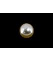 1.83 cts Natural Yellow Sapphire (Pukhraj)