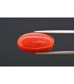 7.08 cts Natural Coral (Moonga)