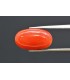6.01 cts Natural Coral (Moonga)