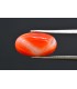 6.01 cts Natural Coral - Moonga (SKU:90160387)