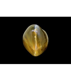 2.7 cts Natural Cats Eye (Lehsunia)