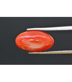 4.47 cts Natural Coral - Moonga (SKU:90160400)