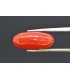 3.93 cts Natural Coral (Moonga)