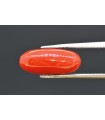 3.93 cts Natural Coral (Moonga)
