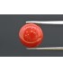 4.25 cts Natural Coral (Moonga)
