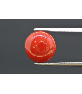 4.25 cts Natural Coral (Moonga)