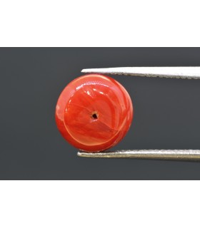 4.25 cts Natural Coral - Moonga (SKU:90160431)