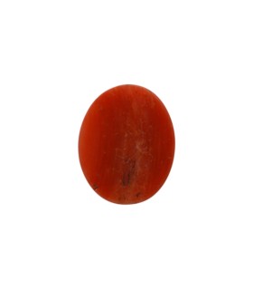 6.34 cts Natural Coral - Moonga (SKU:90053849)