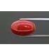 7.99 cts Natural Coral (Moonga)