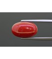 7.99 cts Natural Coral (Moonga)