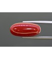 10.7 cts Natural Coral (Moonga)
